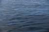 dsc_8636_fs_small.jpg