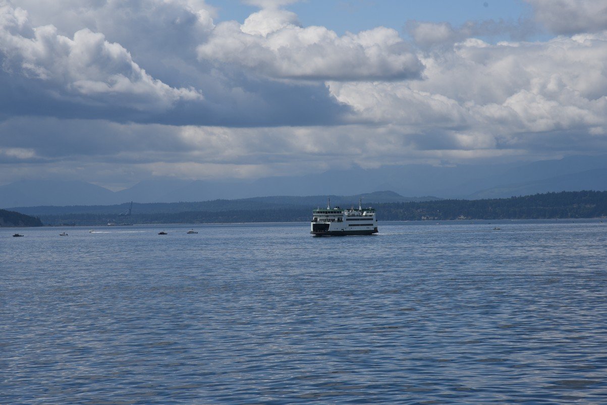 dsc_8649_fs.jpg