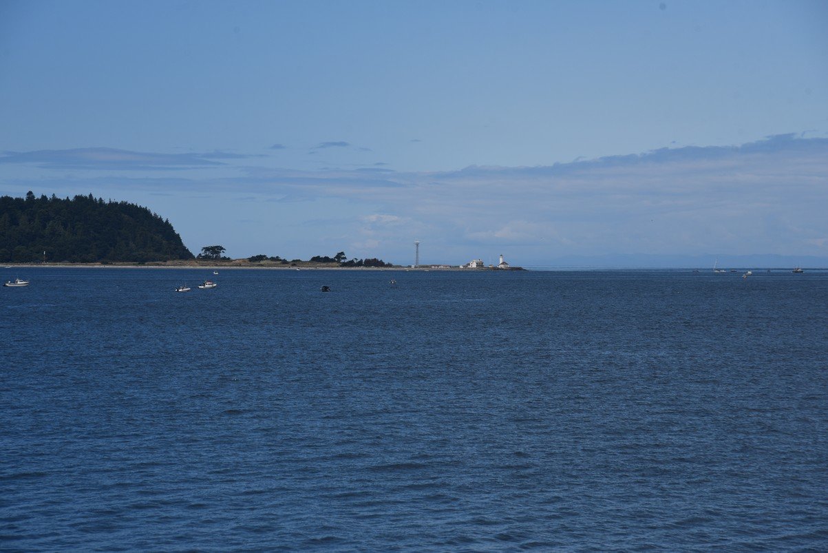 dsc_8655_fs.jpg