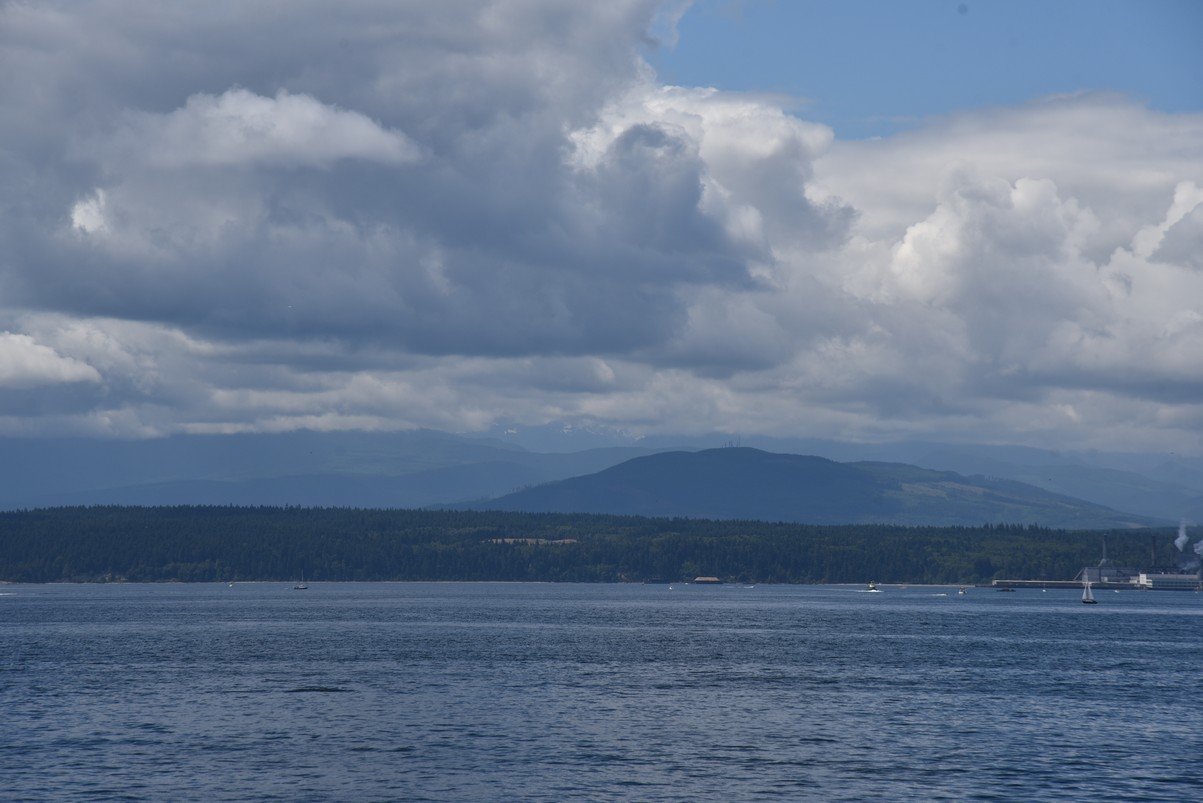 dsc_8667_fs.jpg