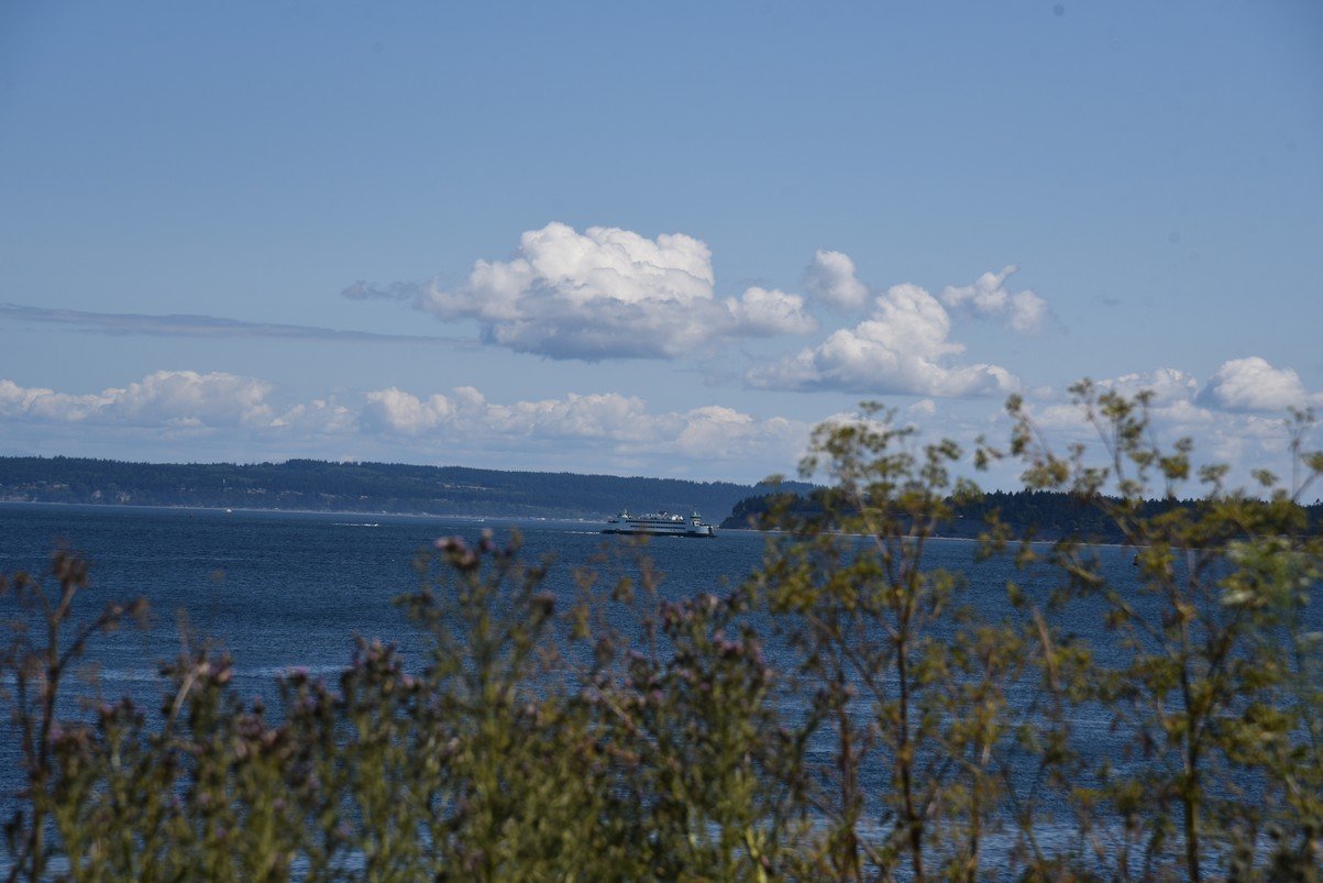 dsc_8711_fs.jpg