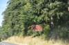 dsc_8738_fs_small.jpg