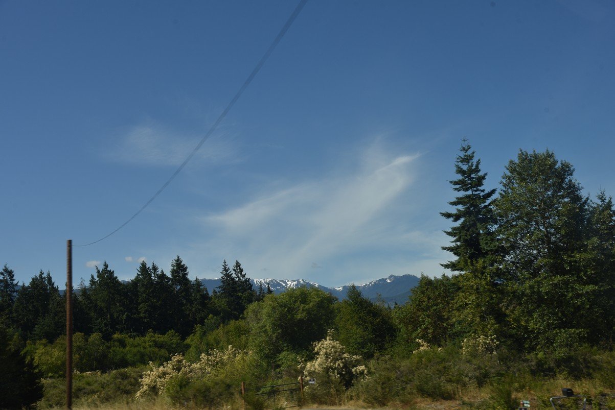 dsc_8772_fs.jpg