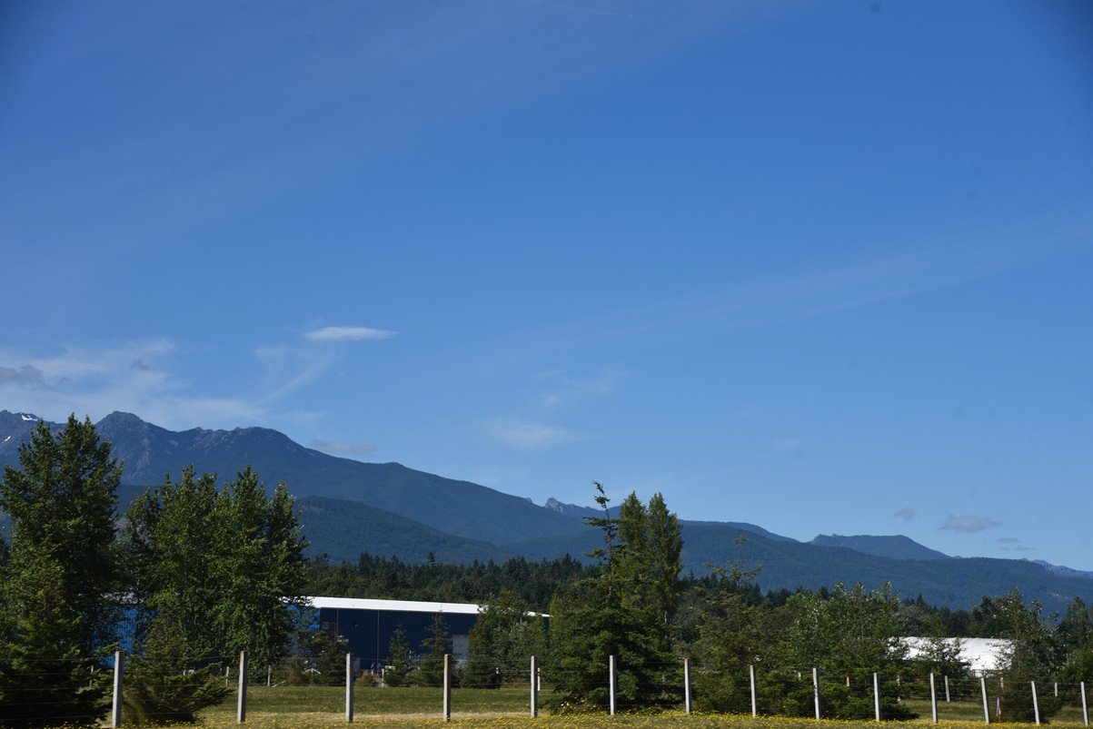 dsc_8781_fs.jpg