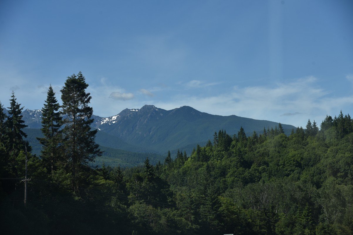 dsc_8783_fs.jpg