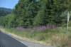 dsc_8804_fs_small.jpg