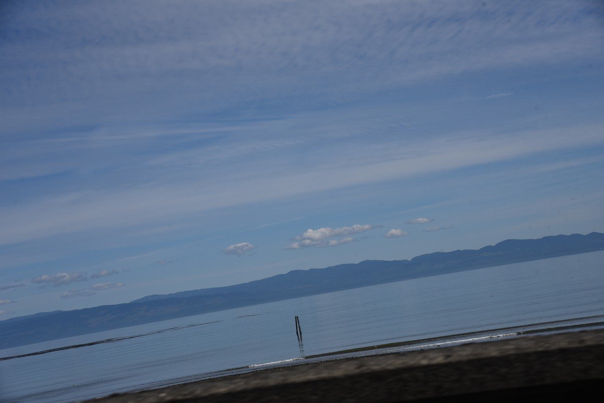 dsc_8813_fs.jpg