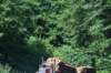 dsc_8820_fs_small.jpg