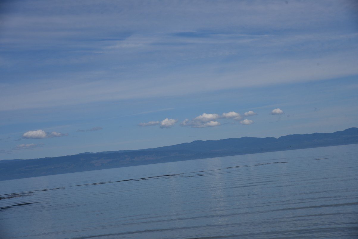 dsc_8821_fs.jpg