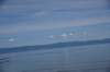 dsc_8821_fs_small.jpg