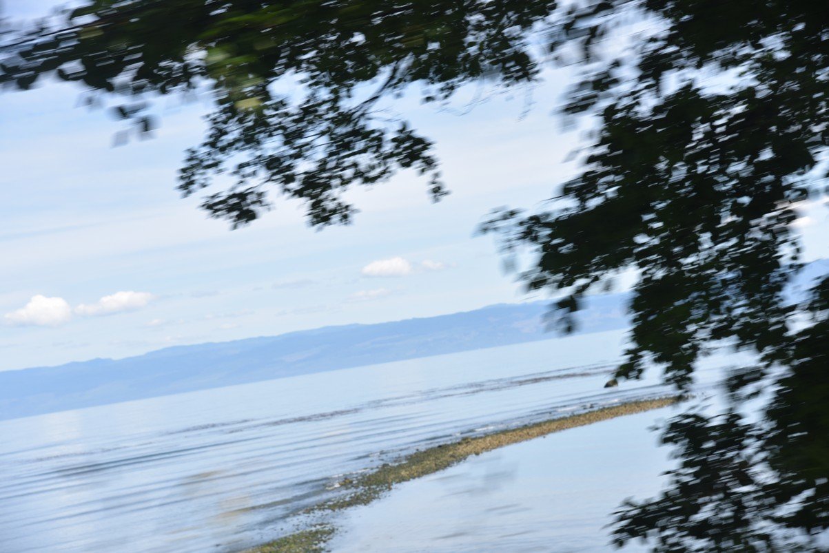 dsc_8822_fs.jpg