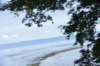 dsc_8822_fs_small.jpg