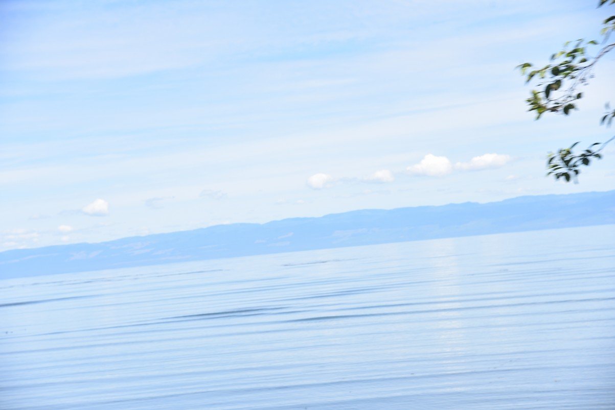 dsc_8823_fs.jpg