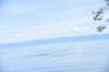 dsc_8823_fs_small.jpg