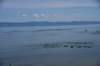dsc_8824_fs_small.jpg