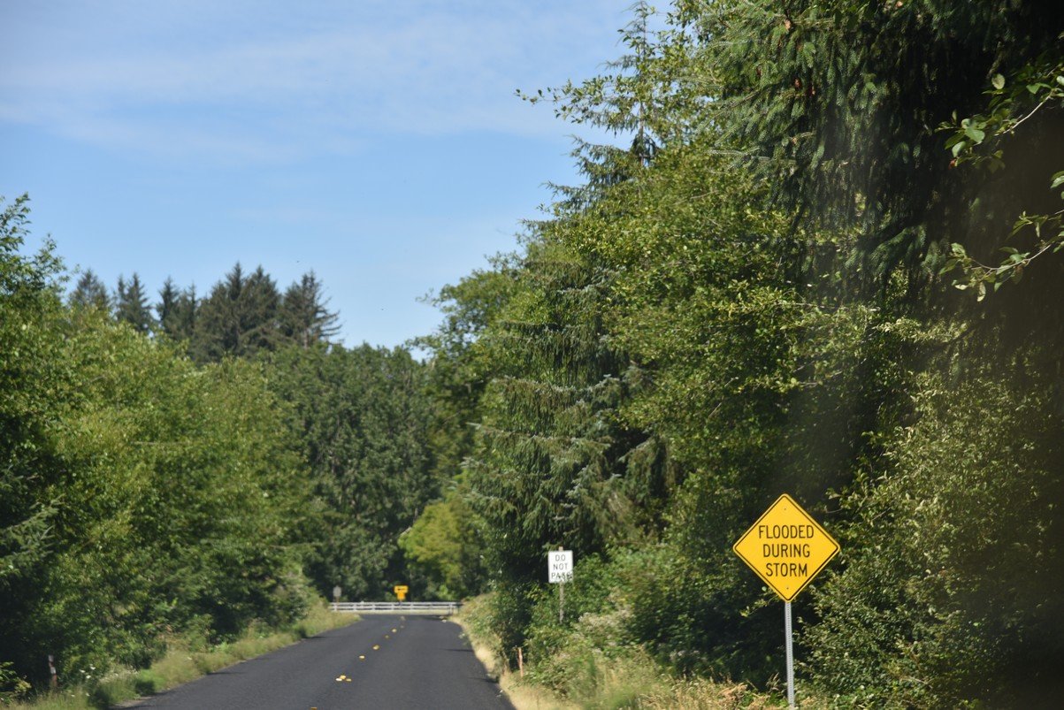dsc_8827_fs.jpg