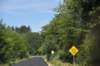 dsc_8827_fs_small.jpg