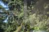 dsc_8828_fs_small.jpg
