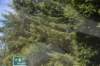 dsc_8835_fs_small.jpg