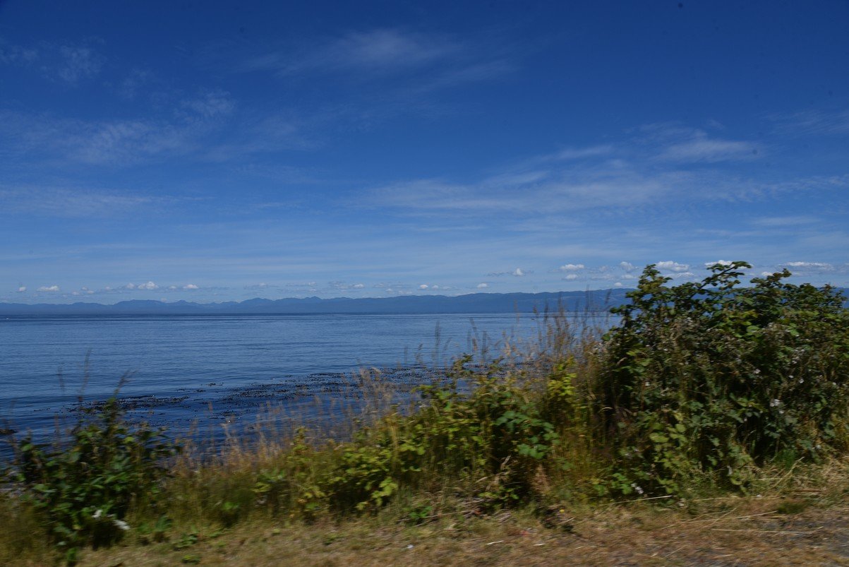 dsc_8843_fs.jpg