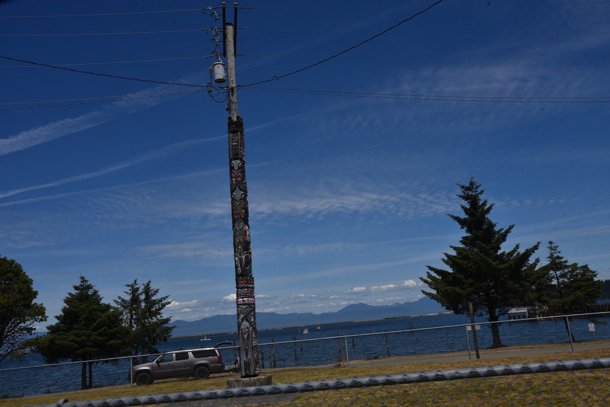 dsc_8893_fs.jpg