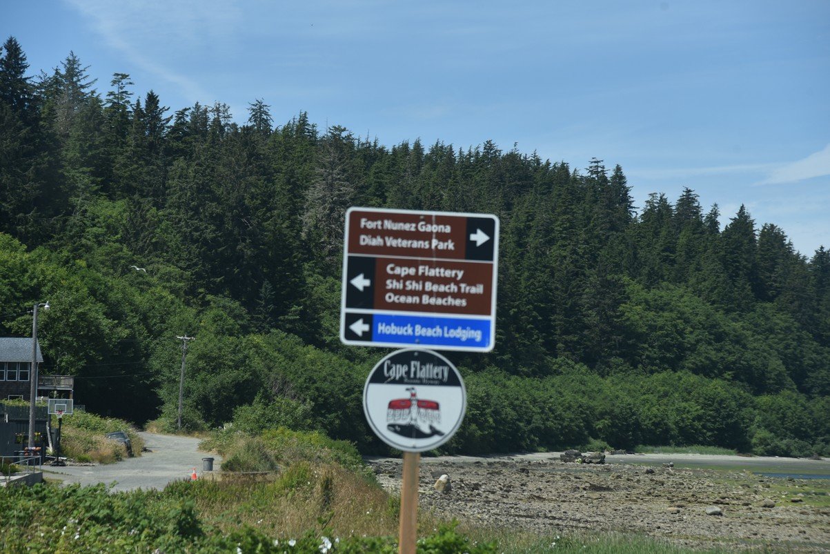 dsc_8895_fs.jpg