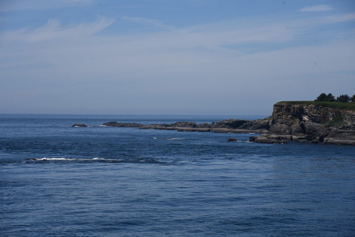 dsc_8918_fs.jpg