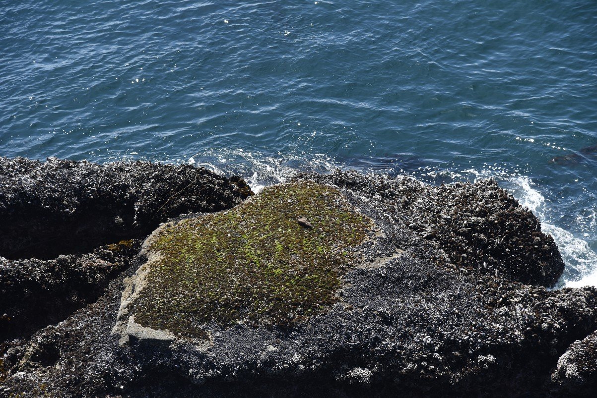 dsc_8923_fs.jpg