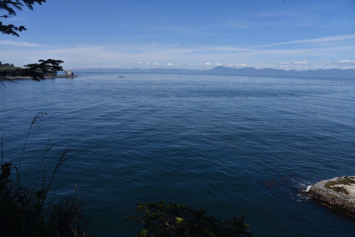 dsc_8960_fs.jpg