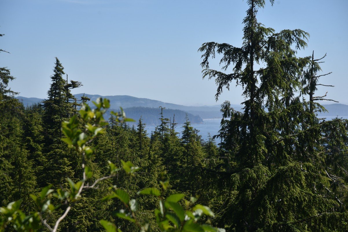 dsc_8982_fs.jpg