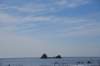 dsc_9000_fs_small.jpg