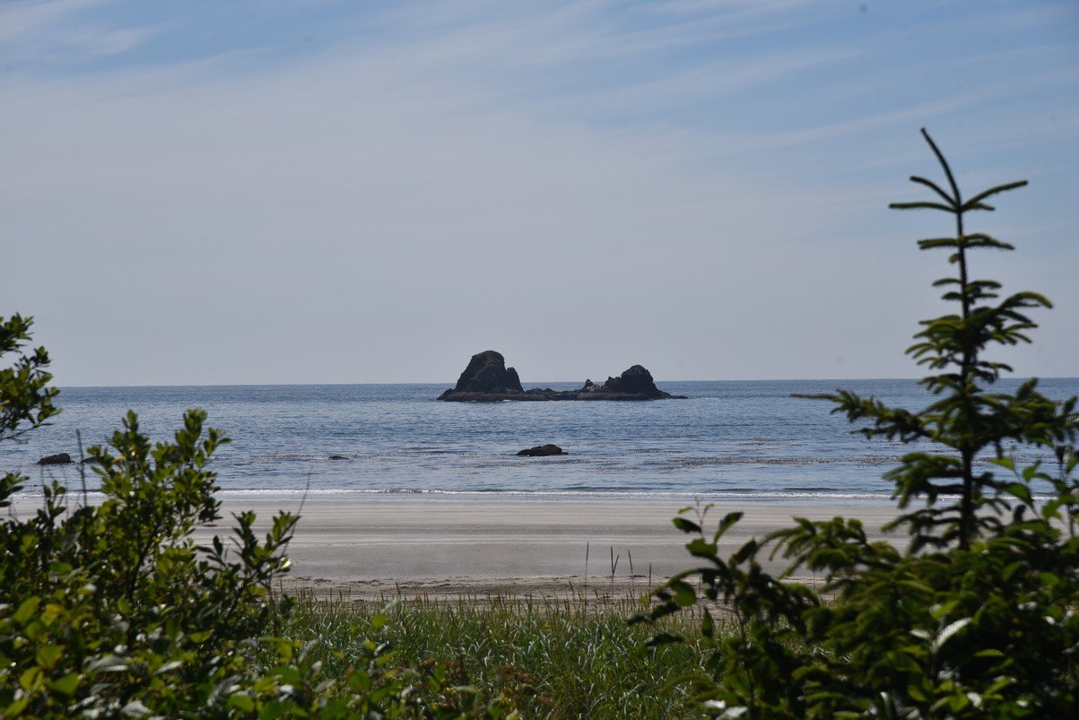 dsc_9004_fs.jpg
