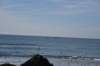 dsc_9013_fs_small.jpg