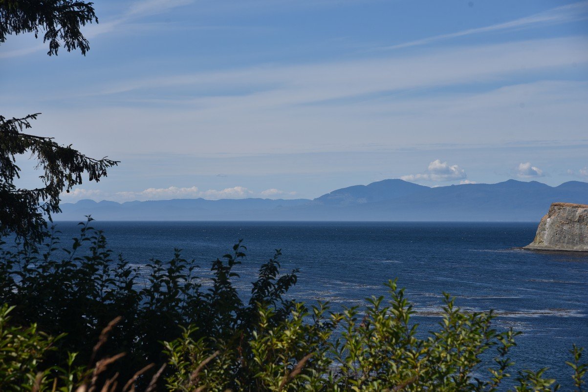 dsc_9026_fs.jpg