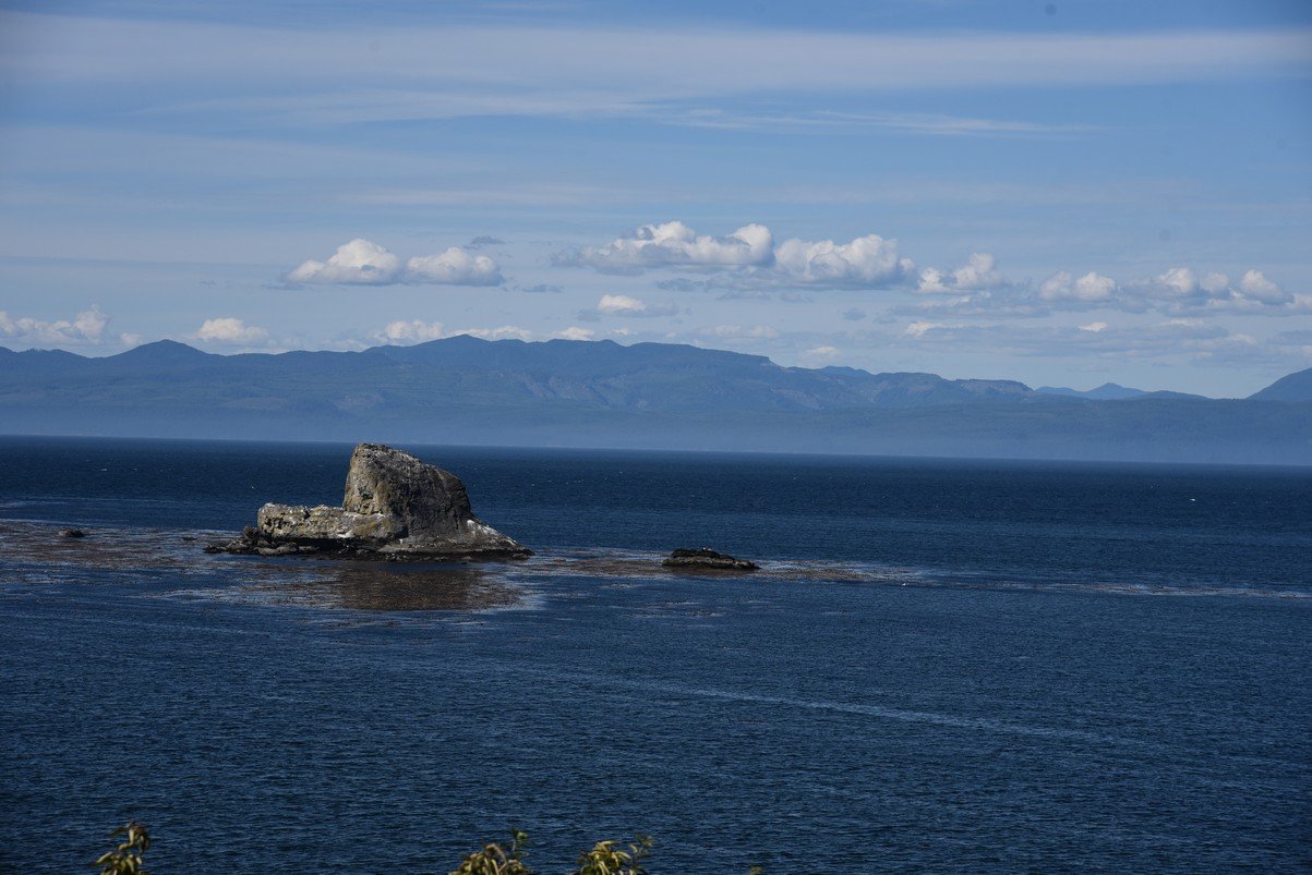 dsc_9029_fs.jpg