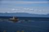 dsc_9029_fs_small.jpg