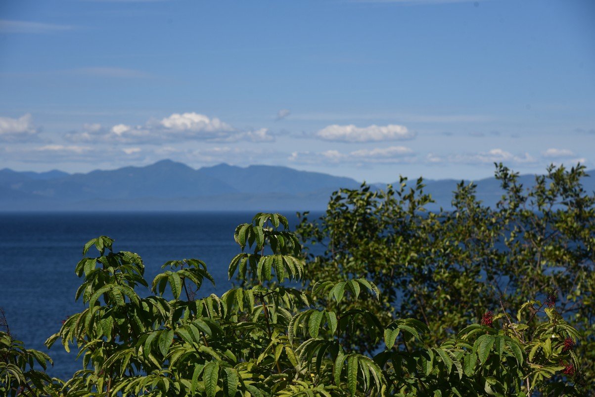 dsc_9031_fs.jpg