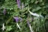 dsc_9036_fs_small.jpg