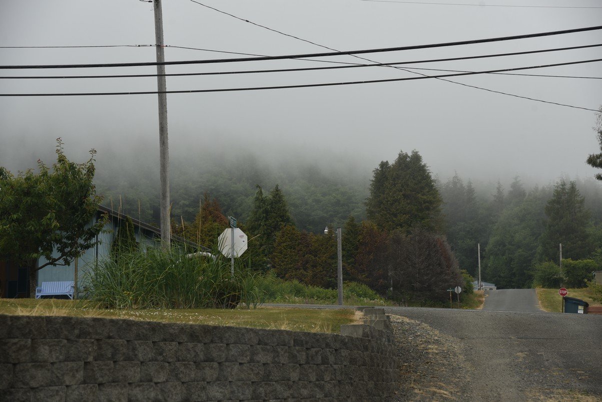 dsc_9045_fs.jpg