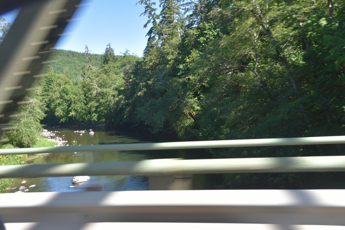 dsc_9060_fs.jpg