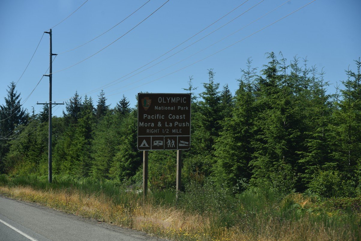 dsc_9070_fs.jpg