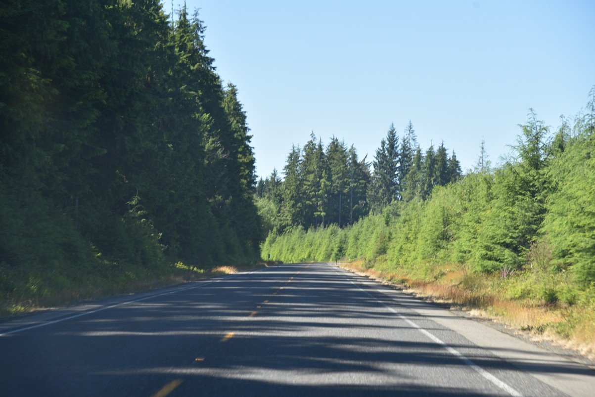 dsc_9105_fs.jpg