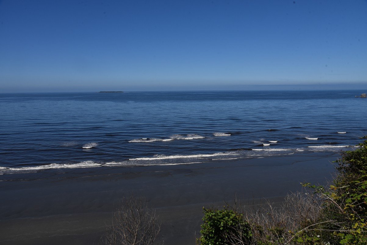 dsc_9115_fs.jpg