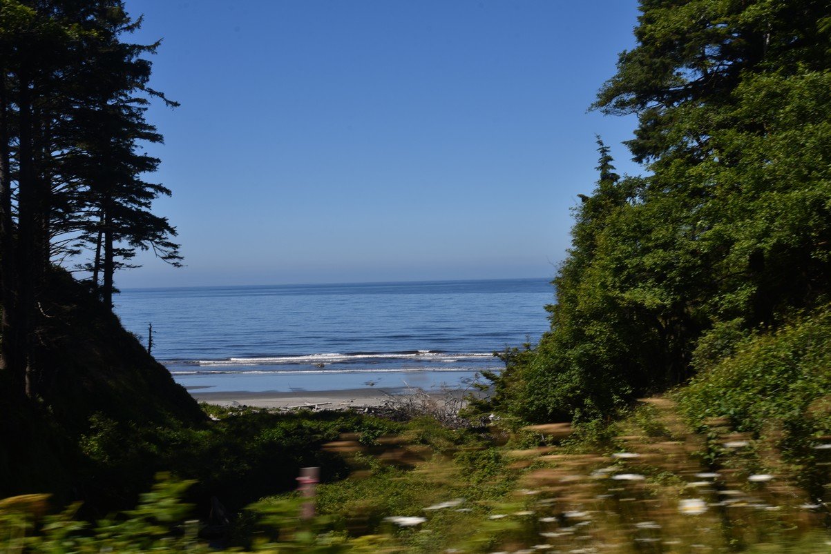 dsc_9123_fs.jpg