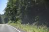 dsc_9124_fs_small.jpg