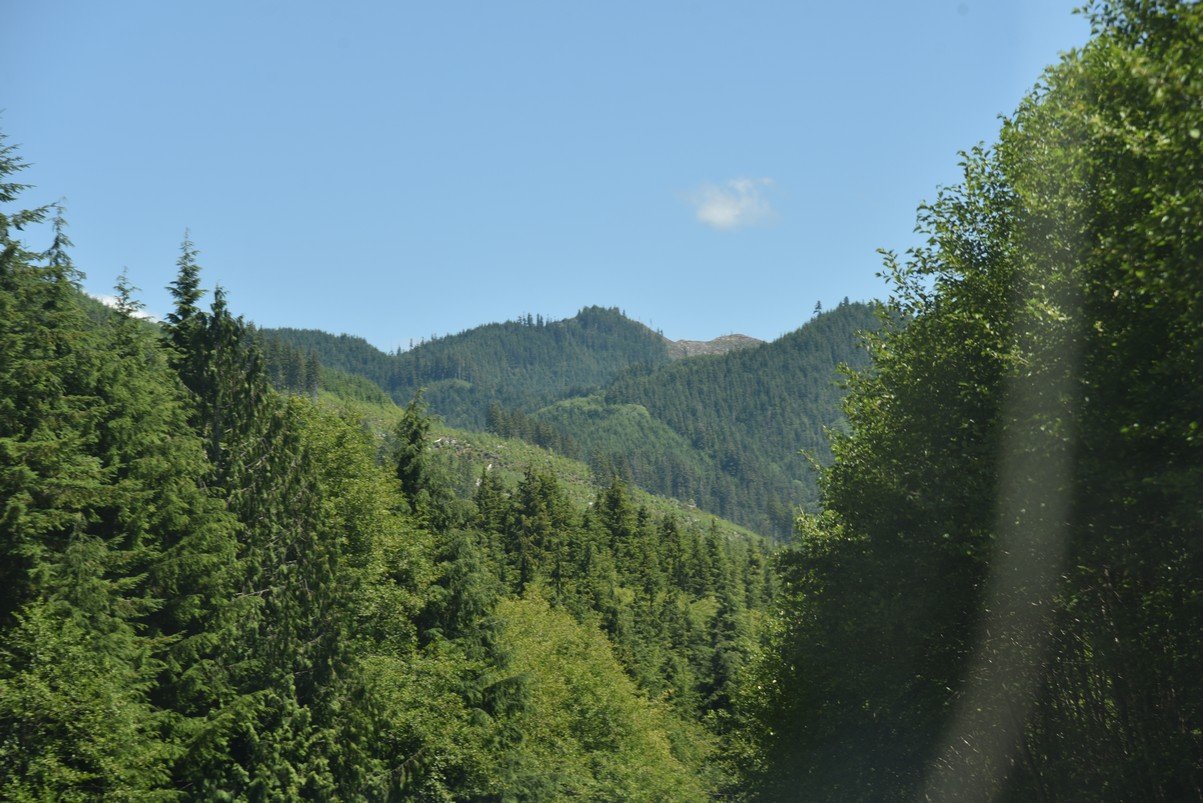 dsc_9152_fs.jpg