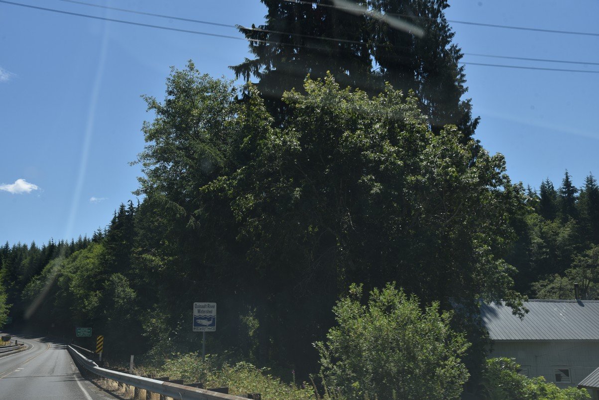 dsc_9170_fs.jpg