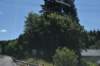 dsc_9170_fs_small.jpg