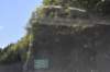 dsc_9173_fs_small.jpg