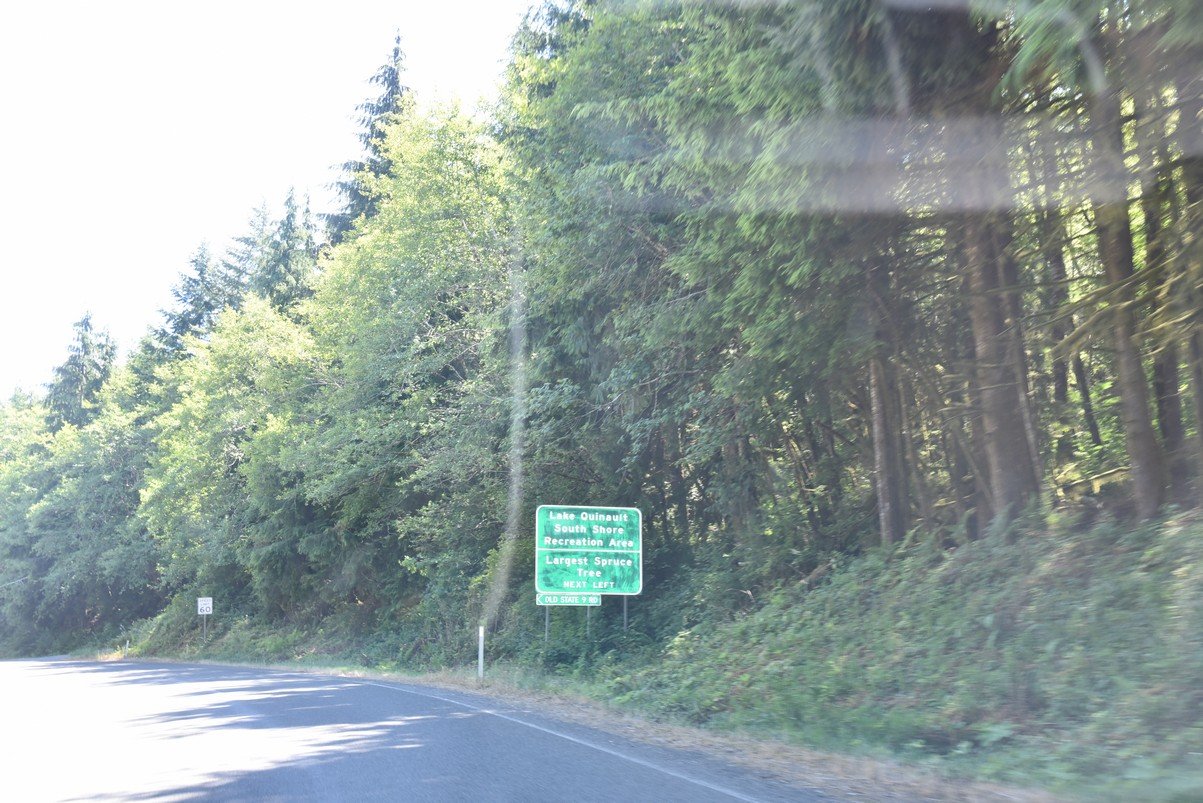 dsc_9174_fs.jpg